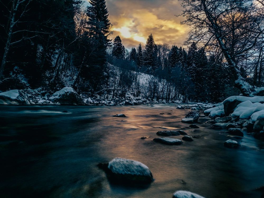 Фотография автора OXANA MARSOVA