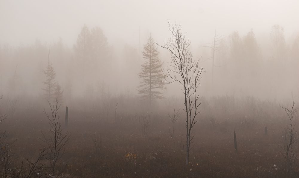 Photograph by Irina Luidinshina