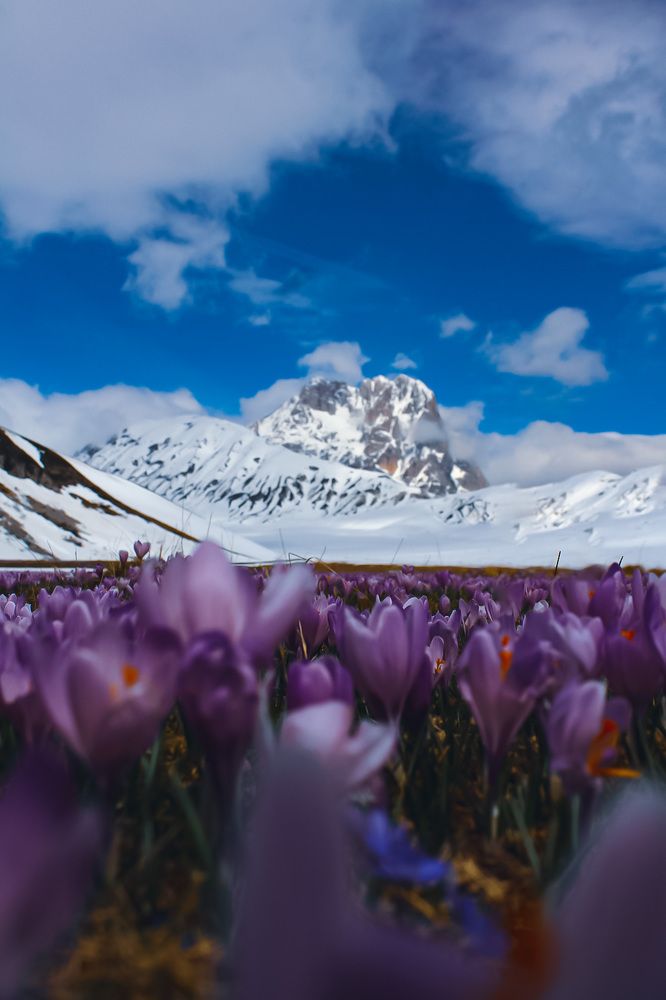 Photograph by Hannah