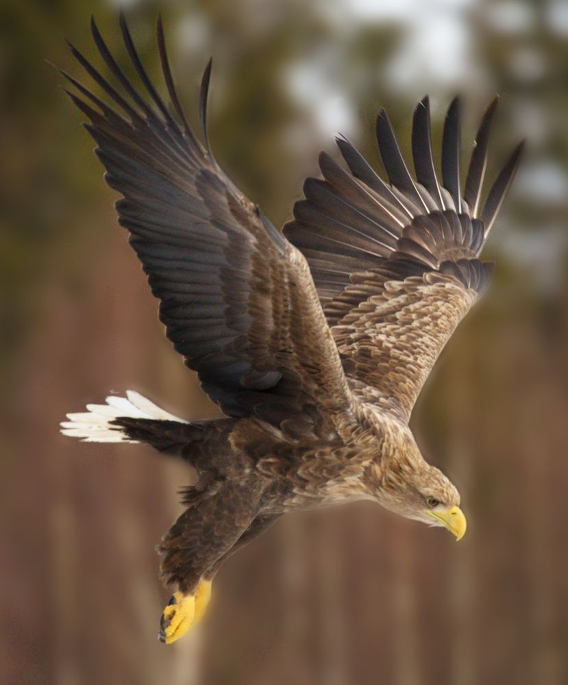 Фотография автора Aricha