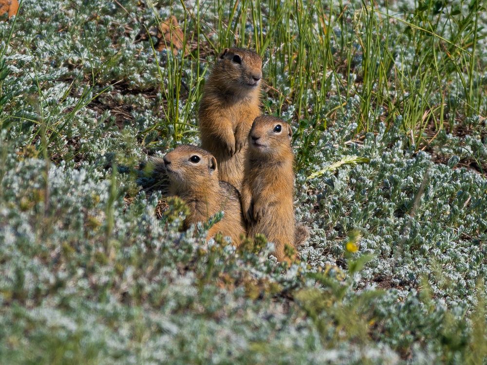 Photograph by Манаков Илья