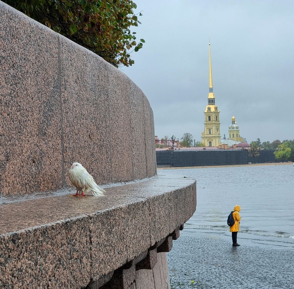 Промозглый день