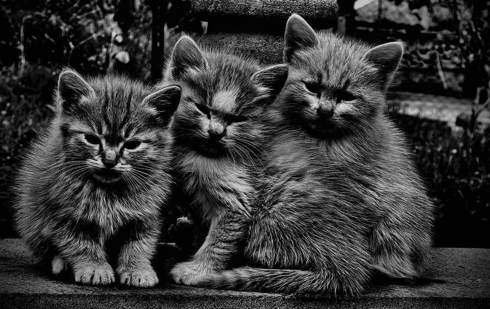 Photograph by Давид Казарян