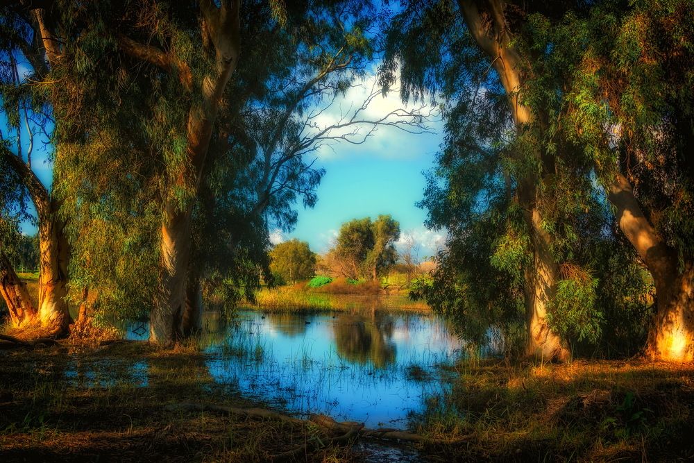 Photograph by Vladimir Bragilevsky