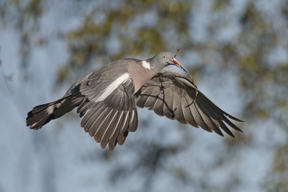 Photograph by Rimantas Stankunas