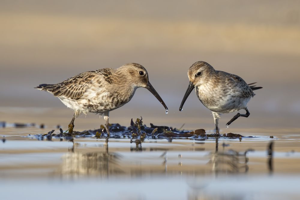 Photograph by Rimantas Stankunas