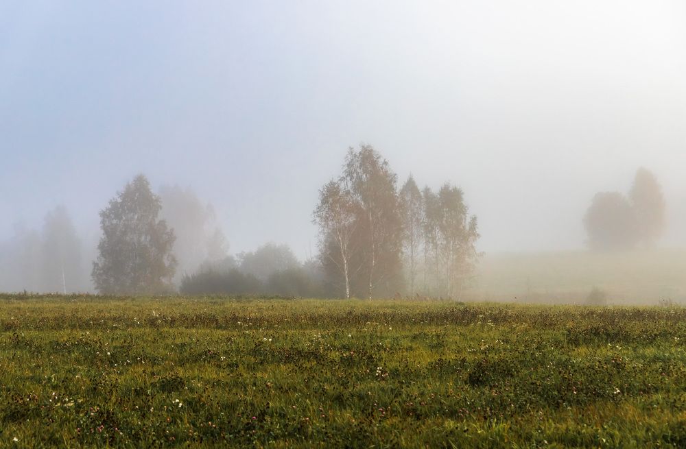 Утро в сентябре