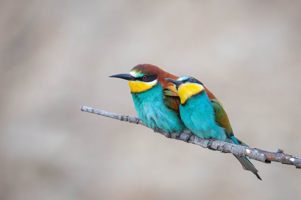 Photograph by Антон Лобачёв