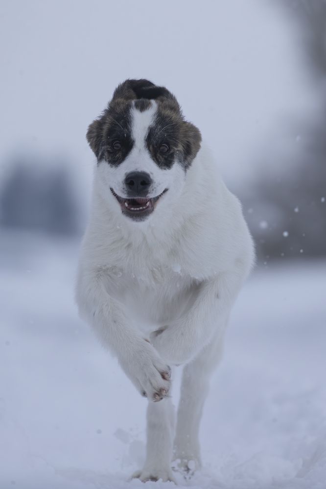 Photograph by Rimantas Stankunas