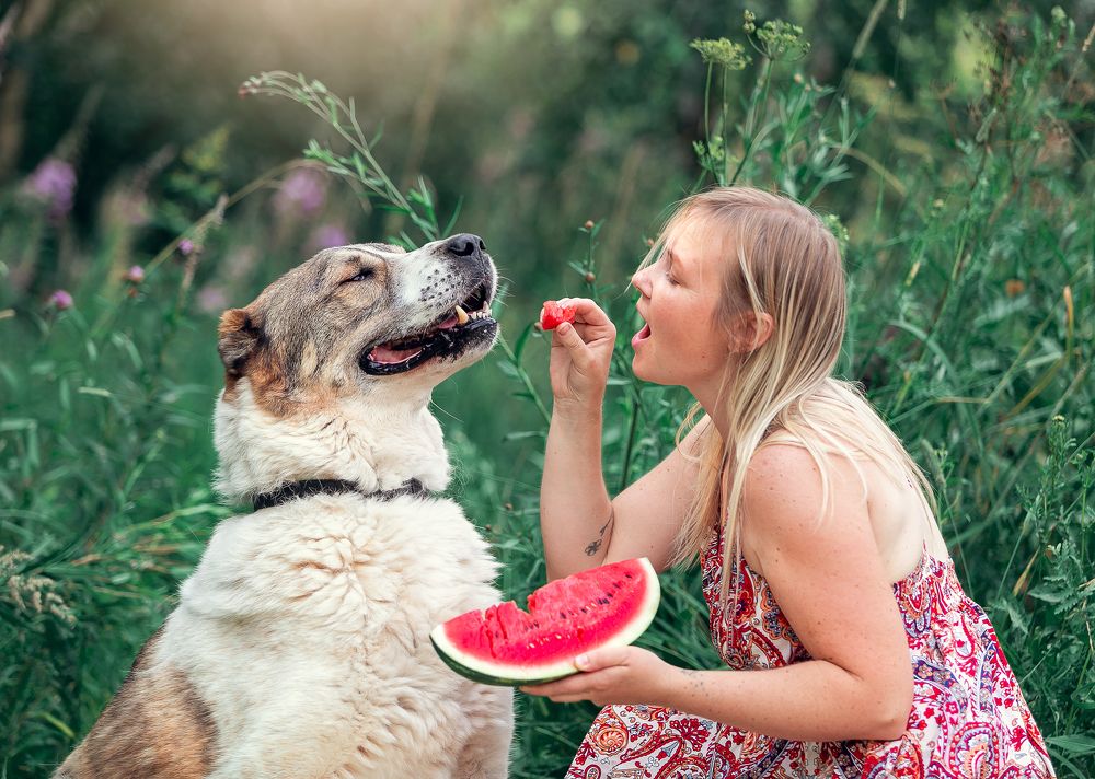 Фотография автора Yulia  Maximova