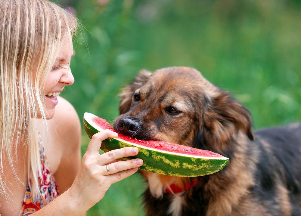 Фотография автора Yulia  Maximova