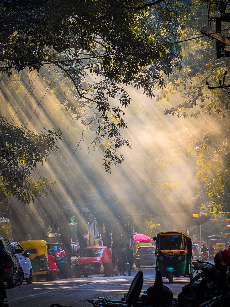 Photograph by R Aniruddha