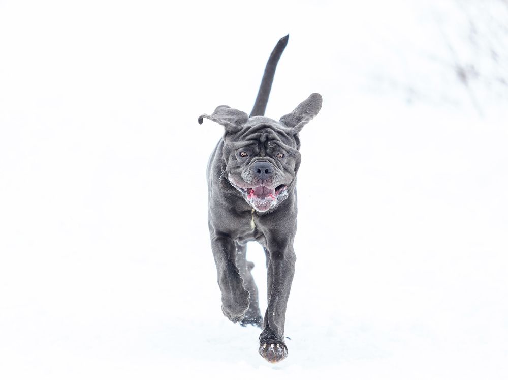 Фотография автора Yulia  Maximova