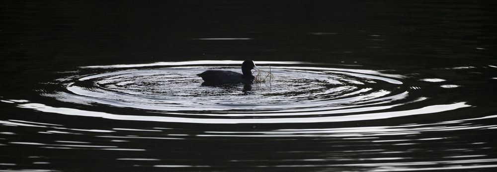 Photograph by Rimantas Stankunas