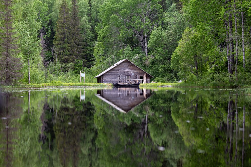 Photograph by Алексей Ромадов