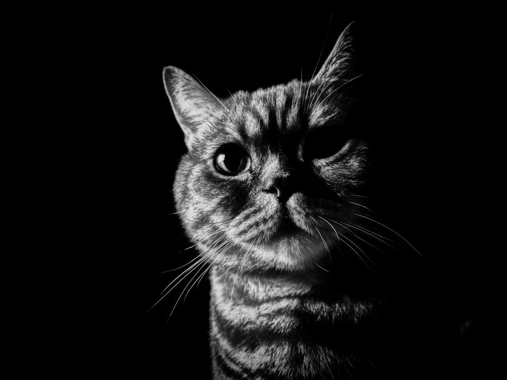 Photograph by Иван Бондаренко