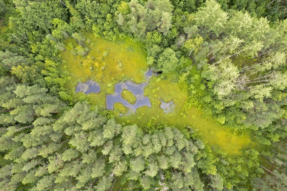 Photograph by Александр Бондаренко