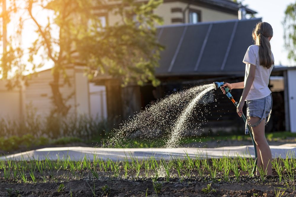 Photograph by Алексей Ромадов