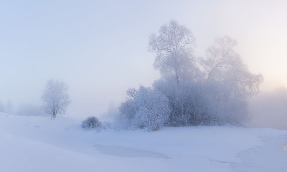 Фотография автора Olga Bonina