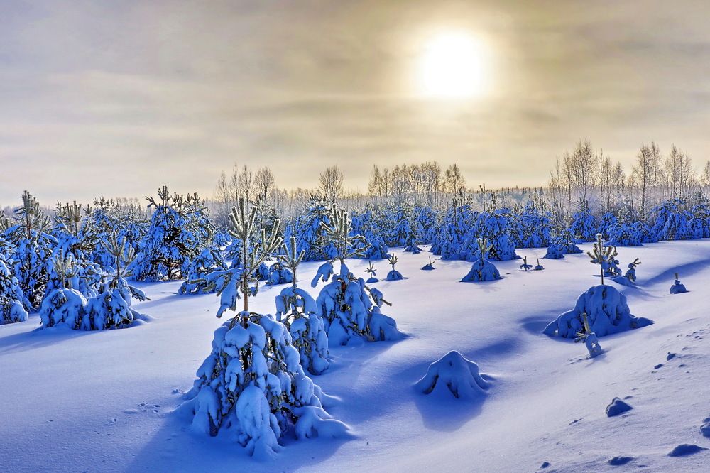 Photograph by Александр Лазебник