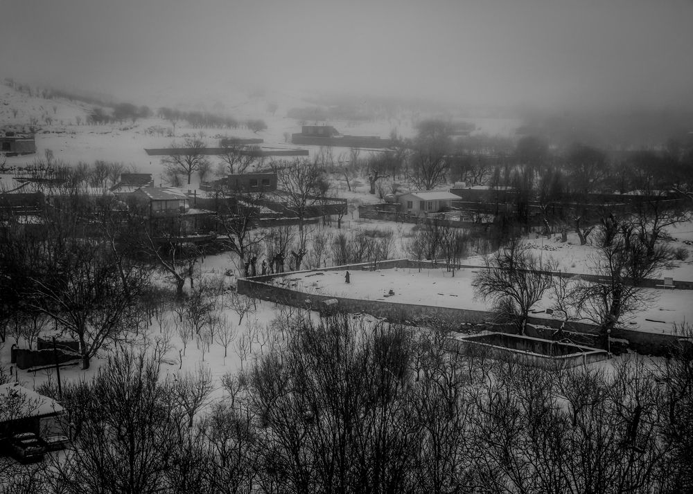 Фотография автора Mojtaba Gitinezhad