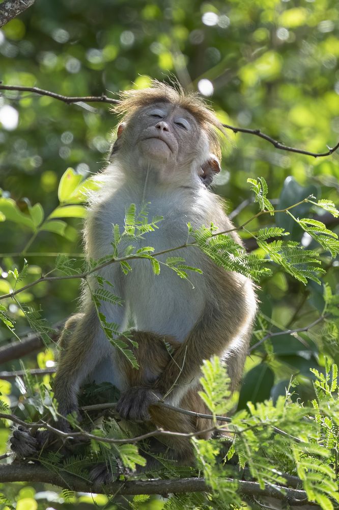 Photograph by Rimantas Stankunas