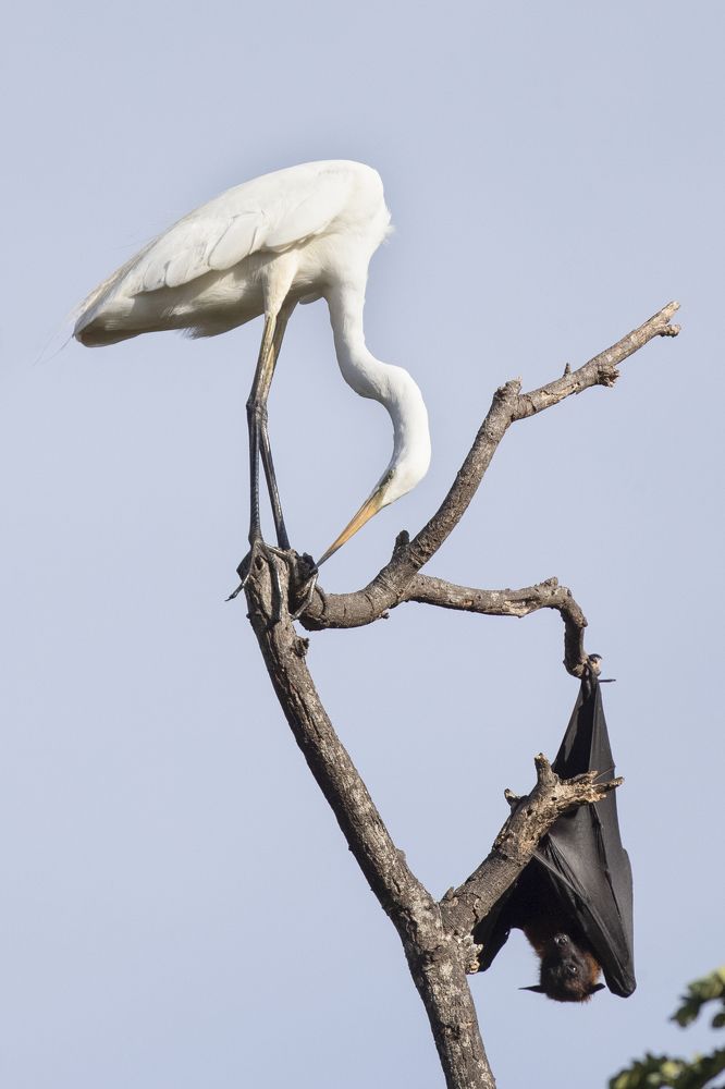 Photograph by Rimantas Stankunas