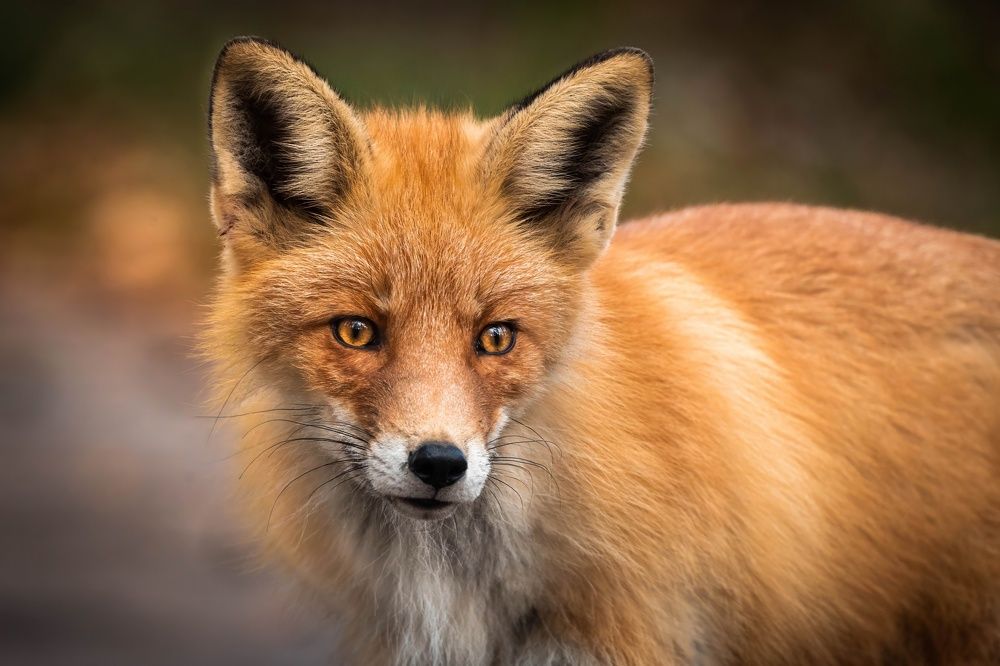 Photograph by Антон Лабачоў