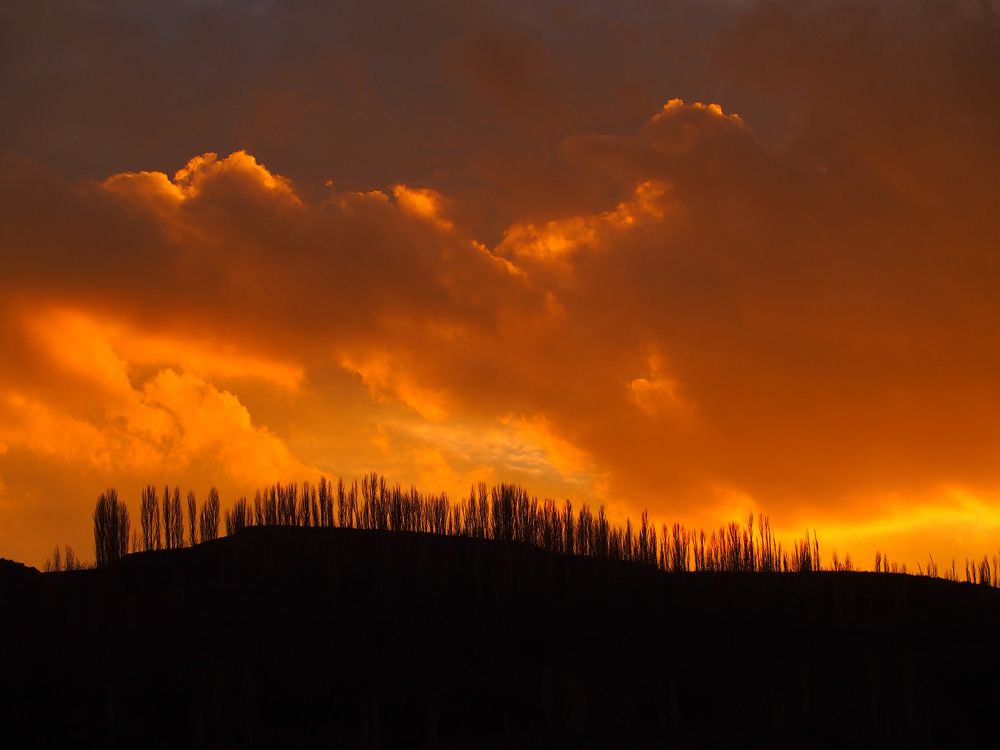 Photograph by Farid Ataei