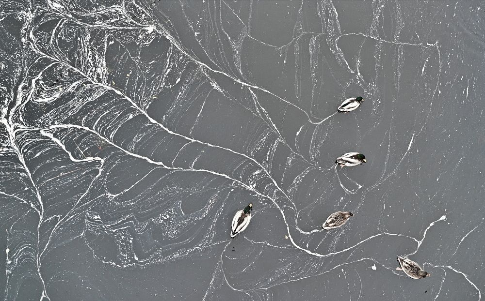 Photograph by Екатерина Степанова