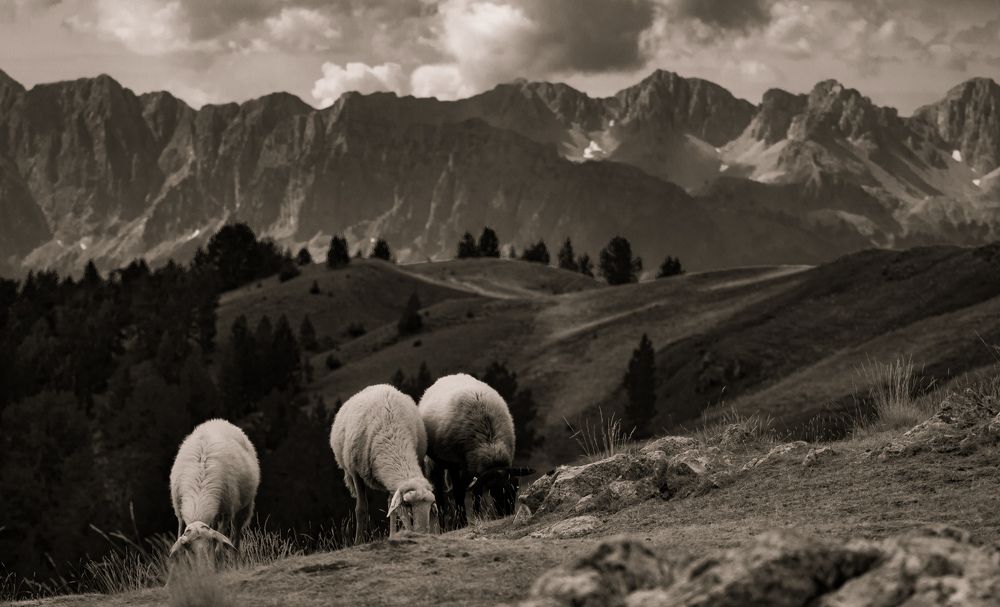 Photograph by Ioannis Graidis