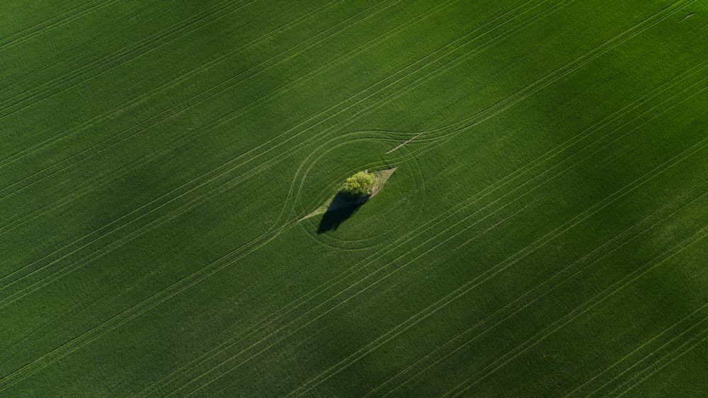 Фотография автора Lyuboslav Bochev