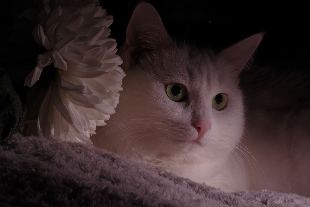 Просто красавица