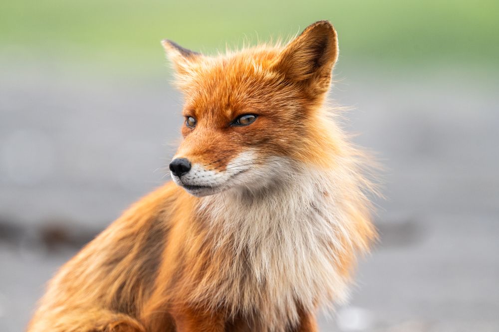 Photograph by Антон Агарков