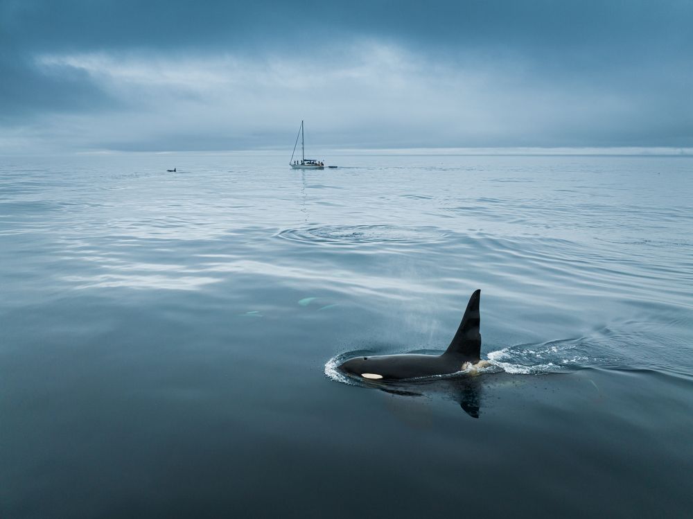 Photograph by Антон Агарков