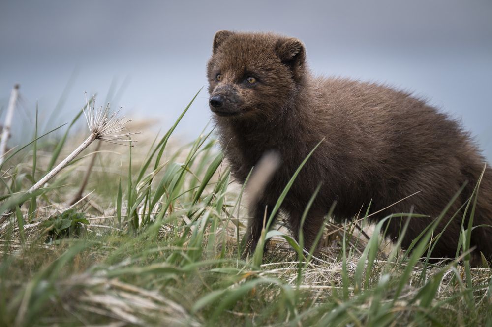 Photograph by Антон Агарков