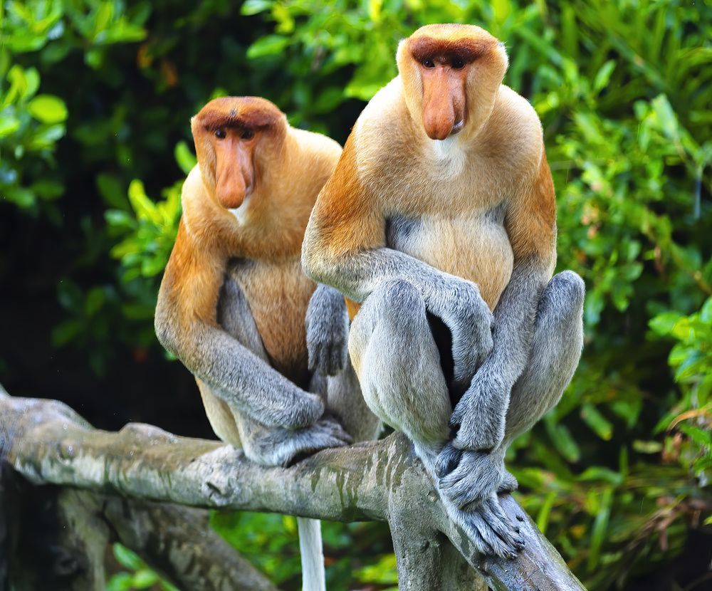 Photograph by Олег Герасимов