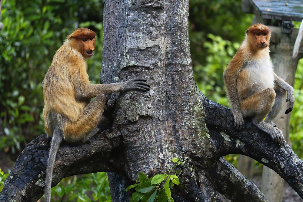 Photograph by Олег Герасимов