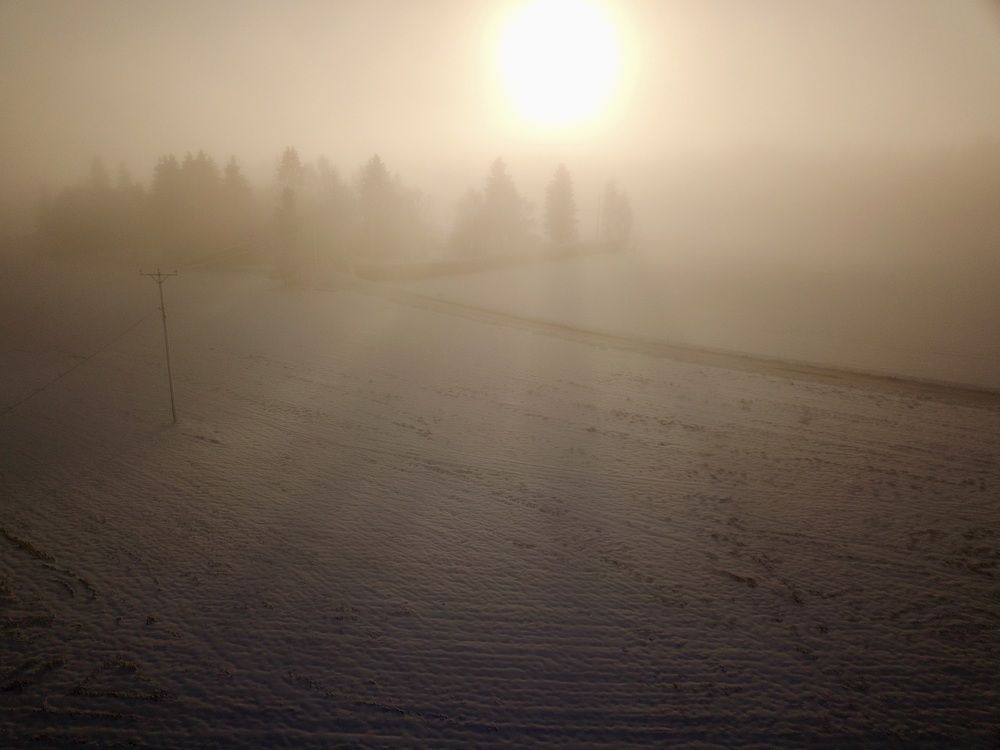 Photograph by Toomas Tõnisalu