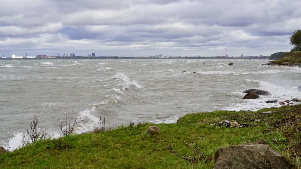 Photograph by Toomas Tõnisalu