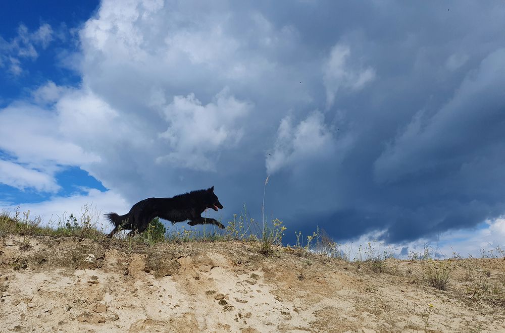 Фотография автора Надежда Лисицына