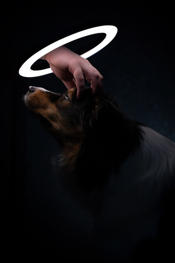 Photograph by Валерия Самчук