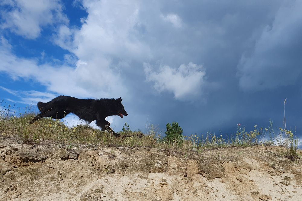 Фотография автора Надежда Лисицына
