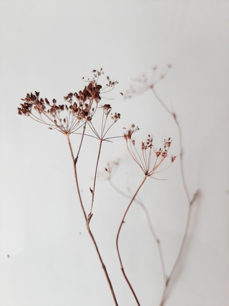 Photograph by Алия Латыйпова