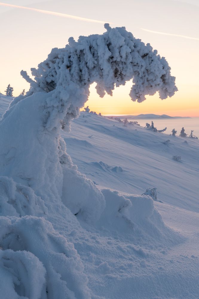 Photograph by Даша Карамышева