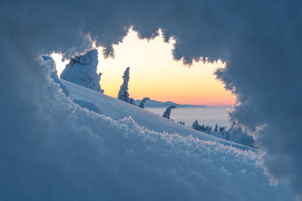 Photograph by Даша Карамышева