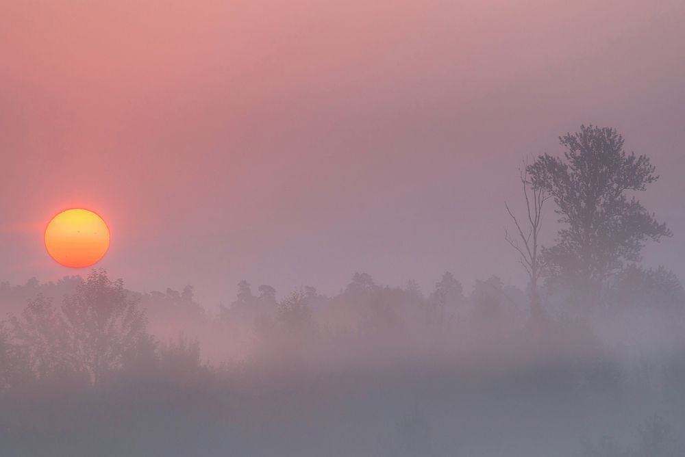 Photograph by Евгений Гонтов