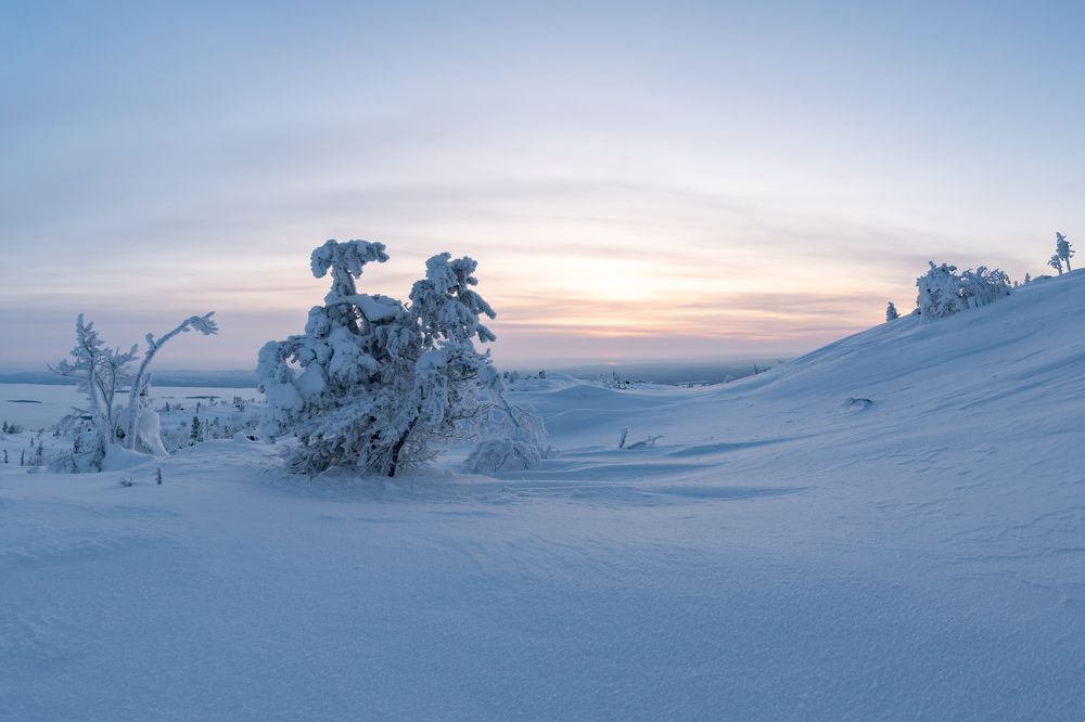 Photograph by Даша Карамышева