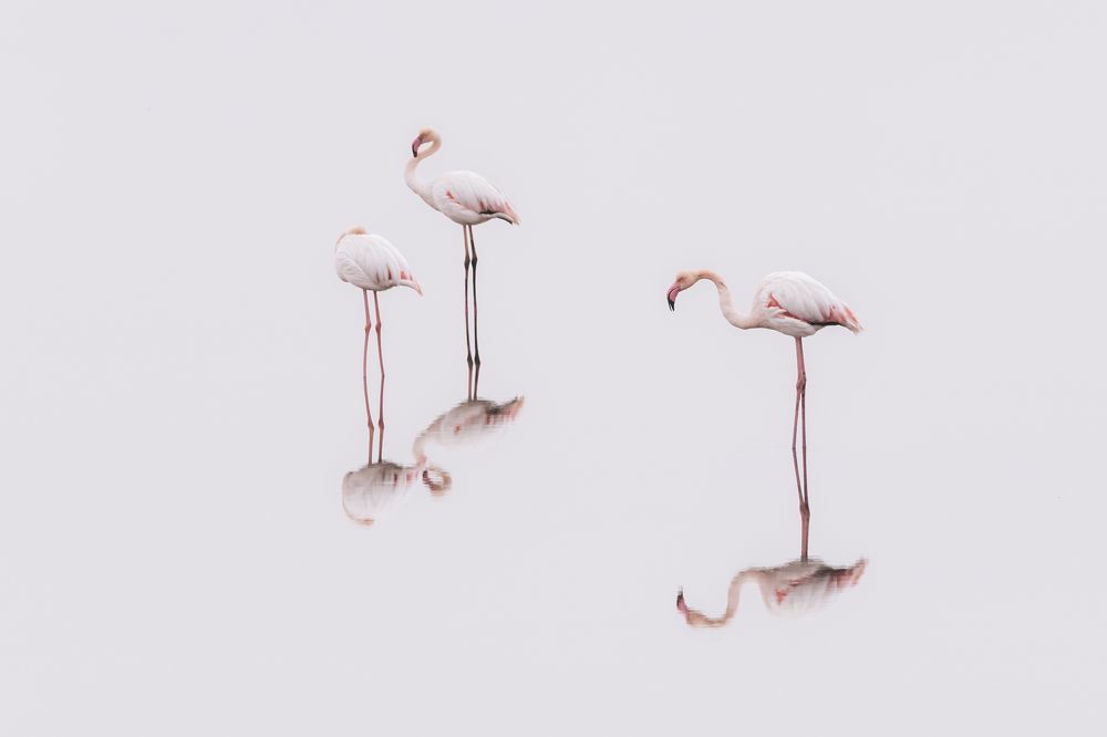 Photograph by Stamen Sotirov