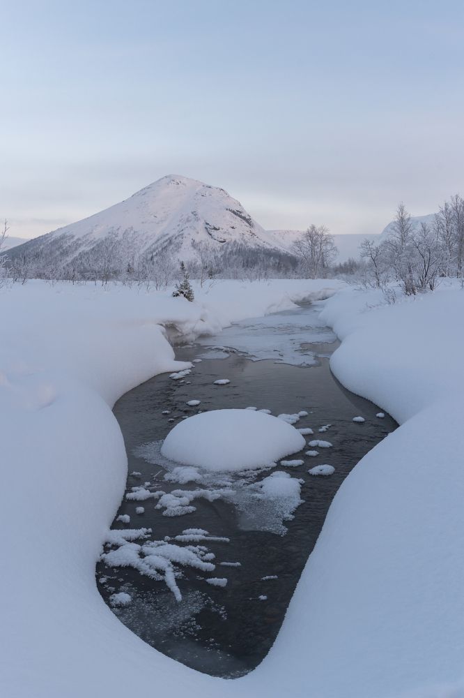 Photograph by Даша Карамышева
